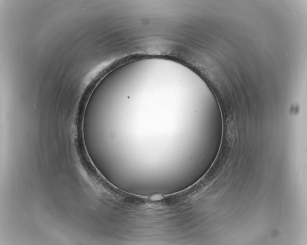 X0000093600536200710291146