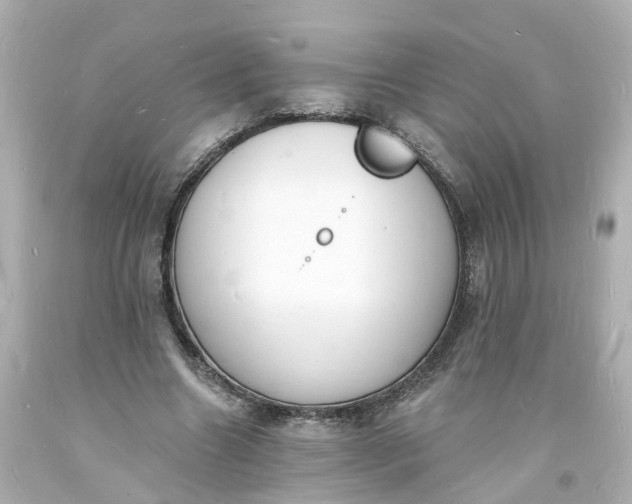 X0000093600538200710291146