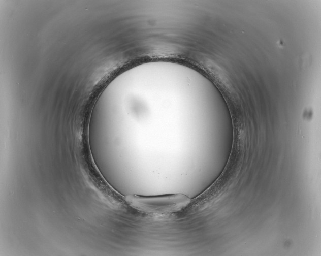 X0000093600539200710291146