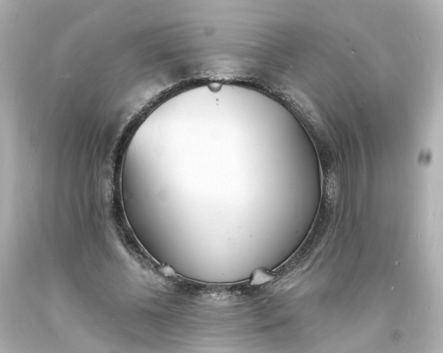 X0000093600540200710291146