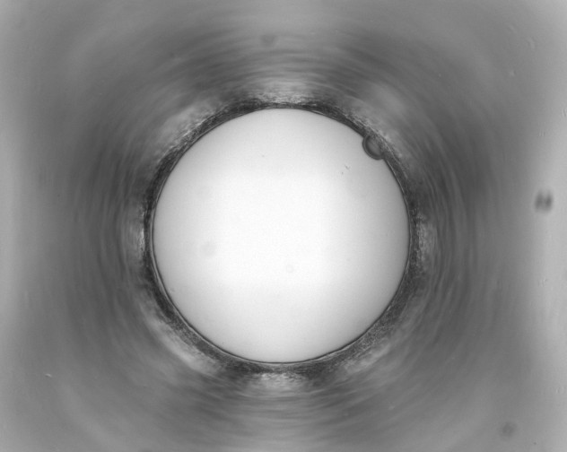 X0000093600541200710291146