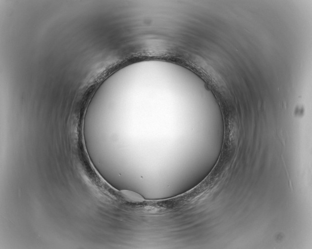 X0000093600542200710291146