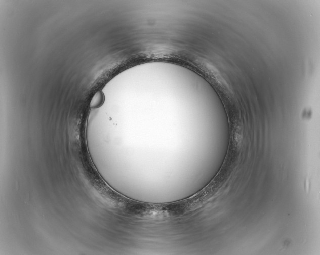 X0000093600543200710291146