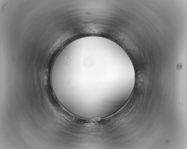 X0000093600544200710291146