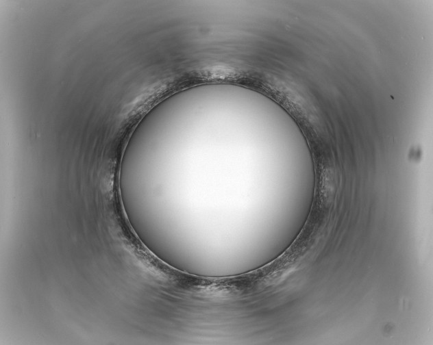 X0000093600545200710291146