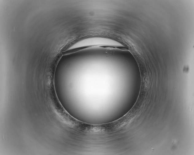 X0000093600546200710291146