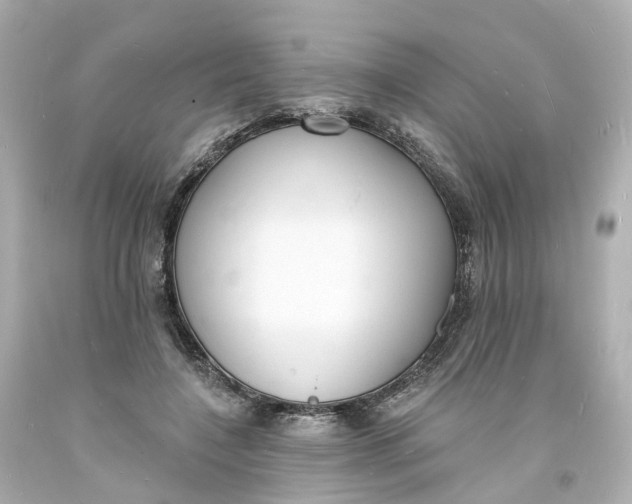 X0000093600548200710291146