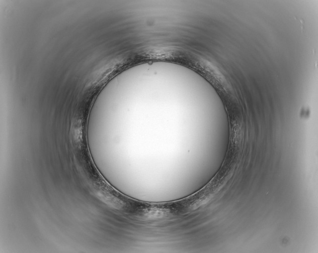 X0000093600549200710291146