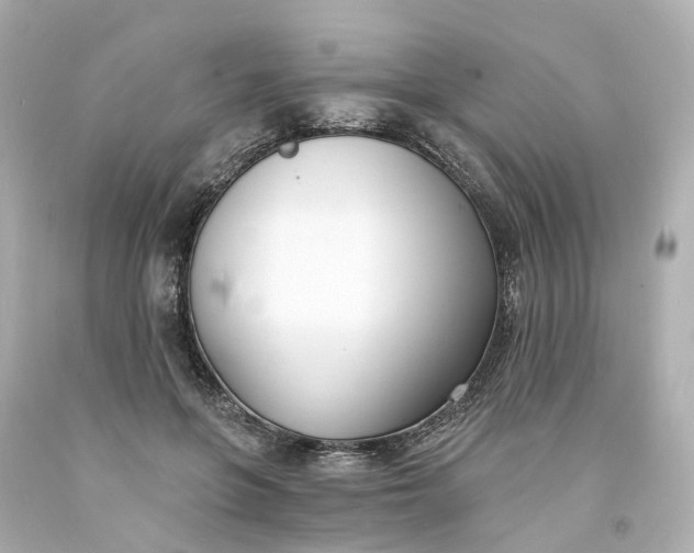 X0000093600551200710291146