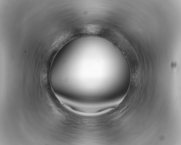 X0000093600552200710291146