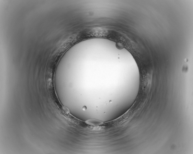 X0000093600553200710291146