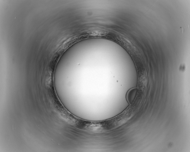 X0000093600554200710291147