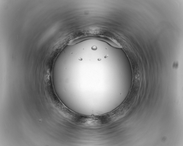 X0000093600555200710291147