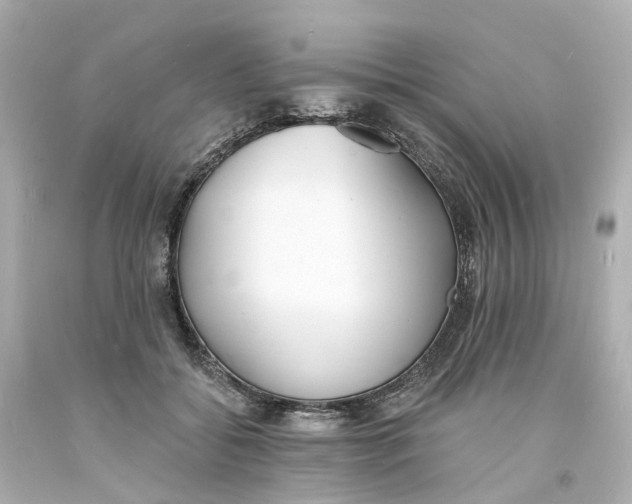 X0000093600556200710291147