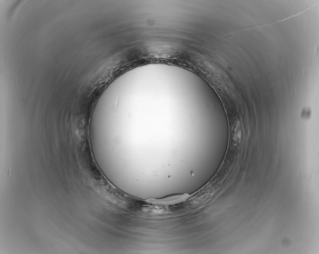 X0000093600559200710291147