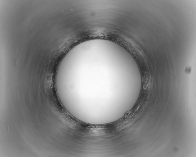 X0000093600560200710291147