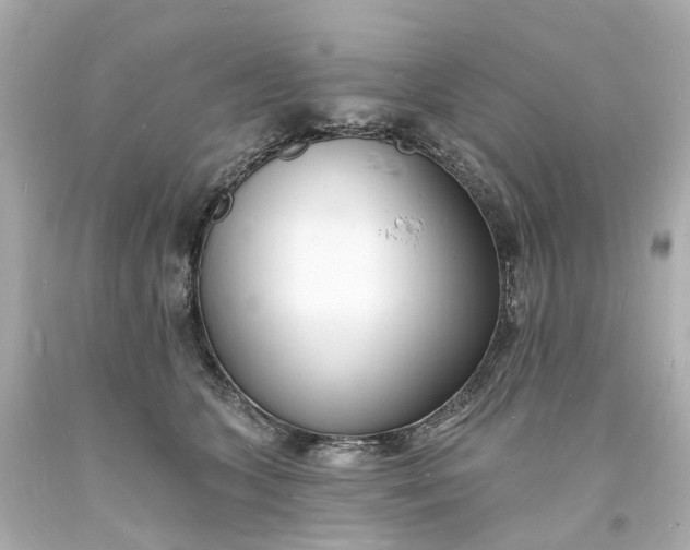 X0000093600563200710291147