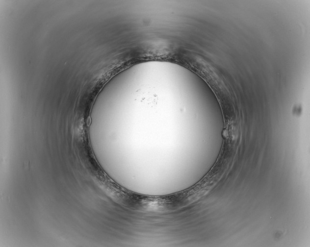 X0000093600564200710291147