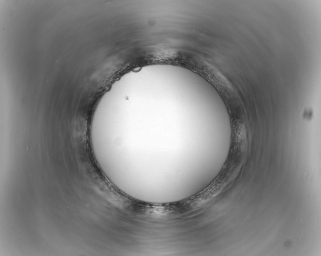 X0000093600565200710291147