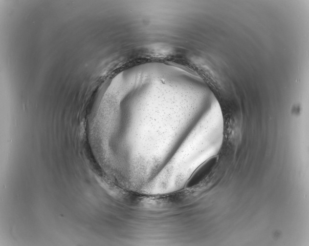 X0000093600568200710291147