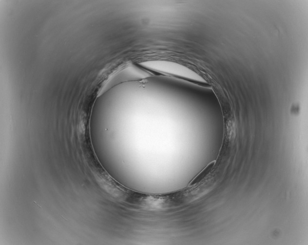 X0000093600570200710291147