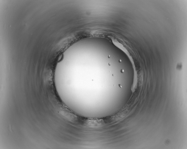 X0000093600571200710291147