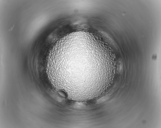 X0000093600573200710291147