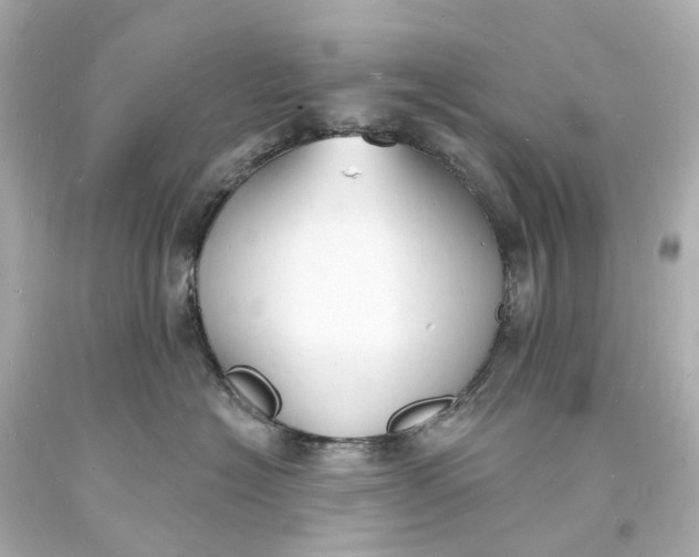 X0000093600574200710291147