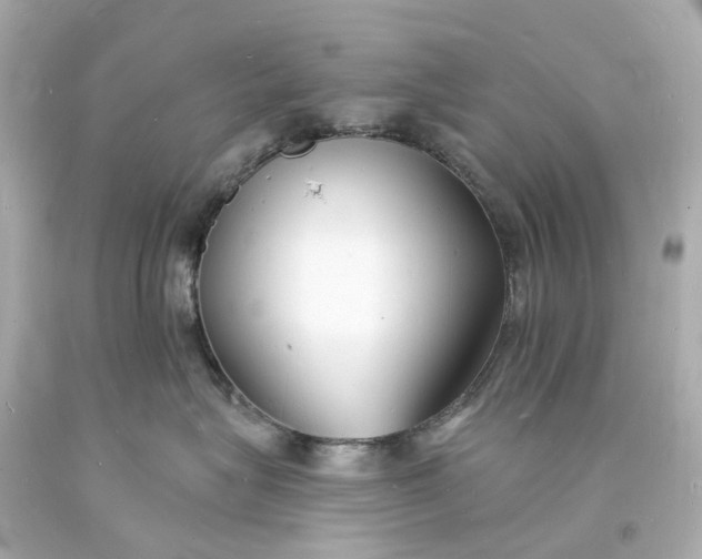 X0000093600575200710291147