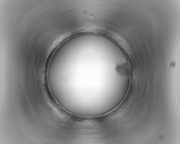 X0000093600578200710291146