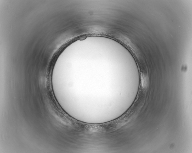 X0000093600579200710291146