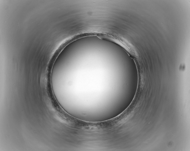 X0000093600580200710291146