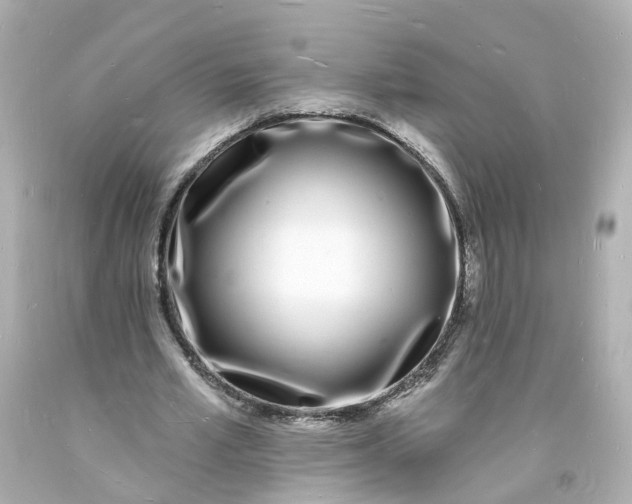 X0000093600581200710291146