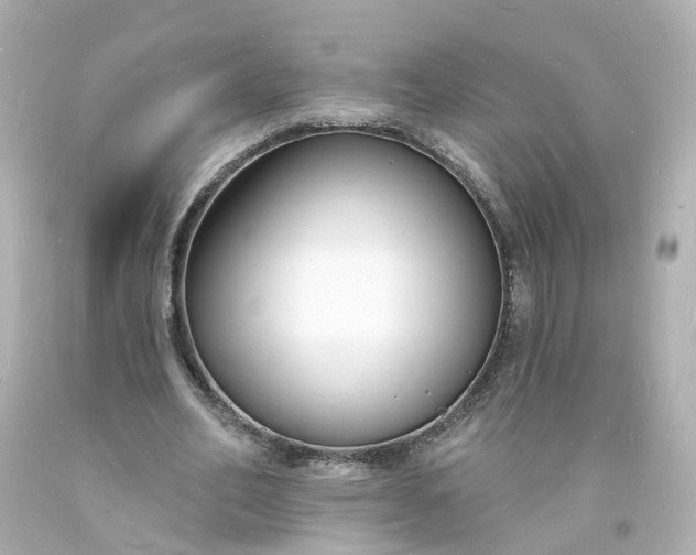 X0000093600582200710291146