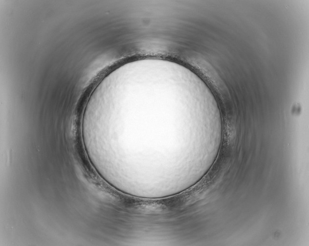 X0000093600583200710291146