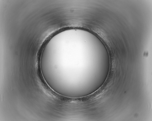 X0000093600584200710291146