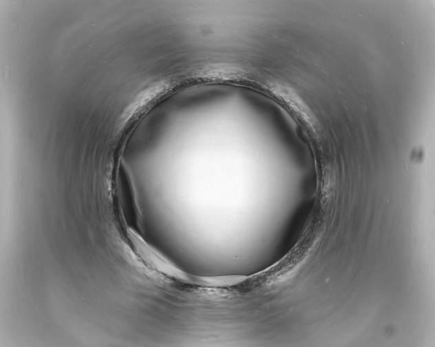 X0000093600585200710291146