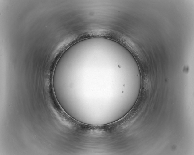 X0000093600586200710291146