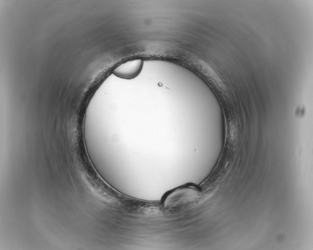 X0000093600588200710291146