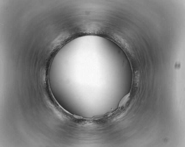 X0000093600589200710291146