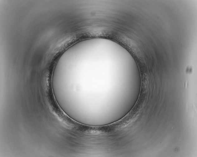 X0000093600590200710291146