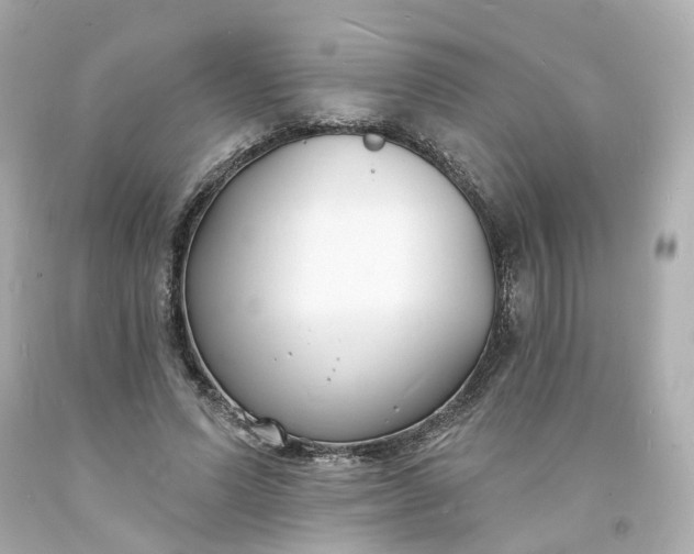 X0000093600591200710291146