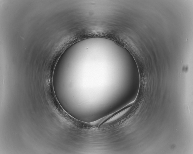 X0000093600593200710291146