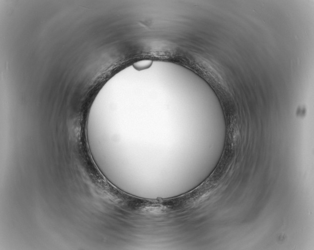 X0000093600595200710291146