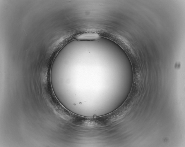 X0000093600596200710291146