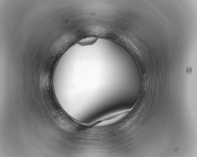 X0000093600597200710291146