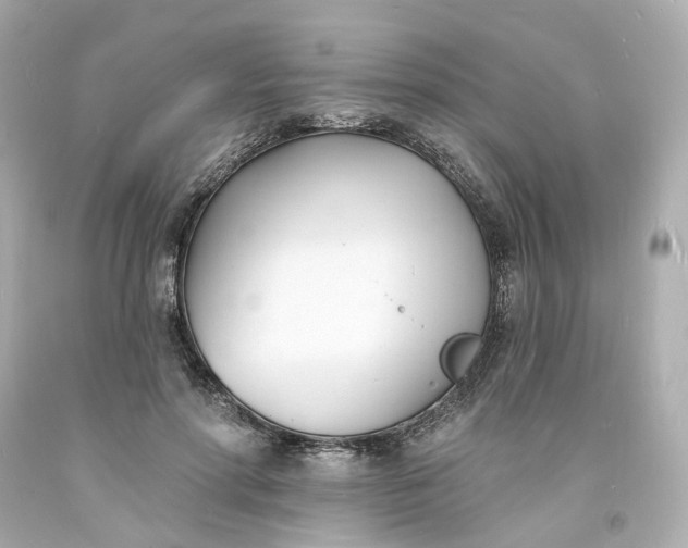 X0000093600598200710291146