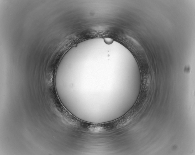 X0000093600602200710291146