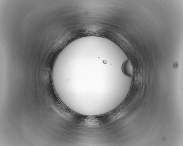 X0000093600603200710291146