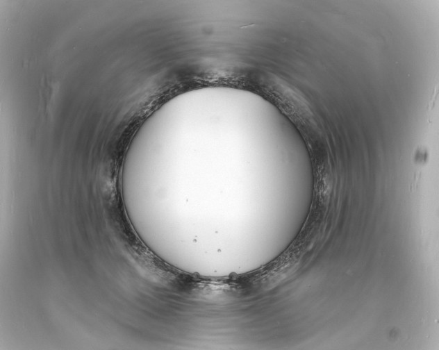 X0000093600607200710291146